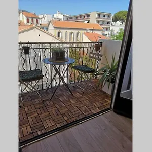 Studio Jungle Au Mourillon Appartement Toulon